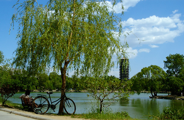 copyright by Sun Zhenning copyright by Sun Zhenning