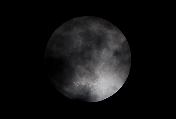 Moon Moon
